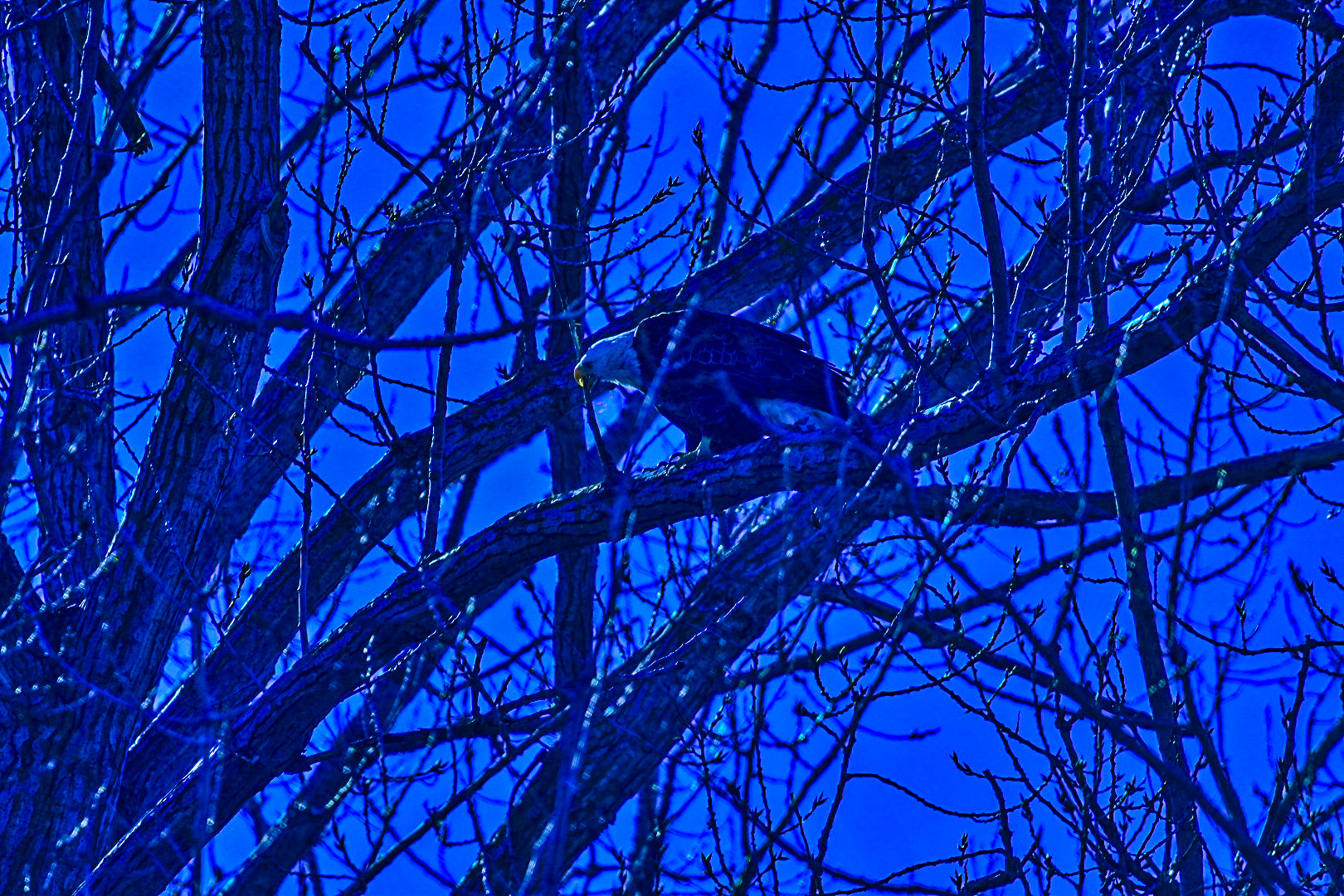 Meeting Photo Slide Show